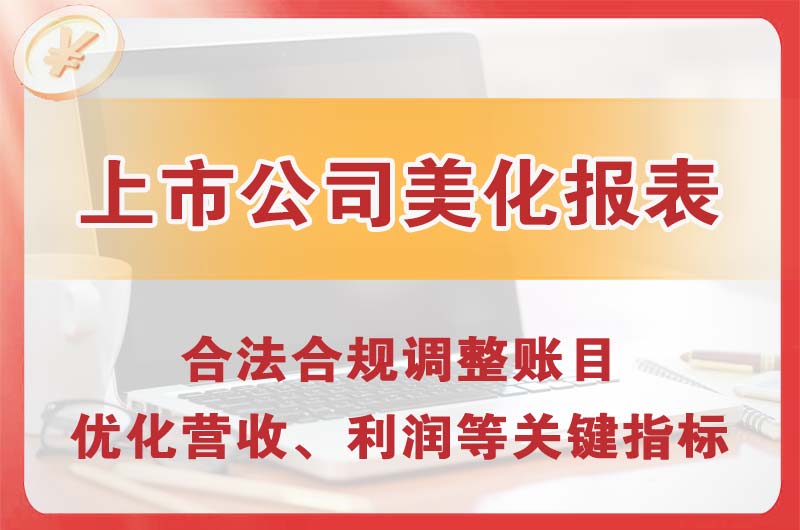 南安上市公司美化报表